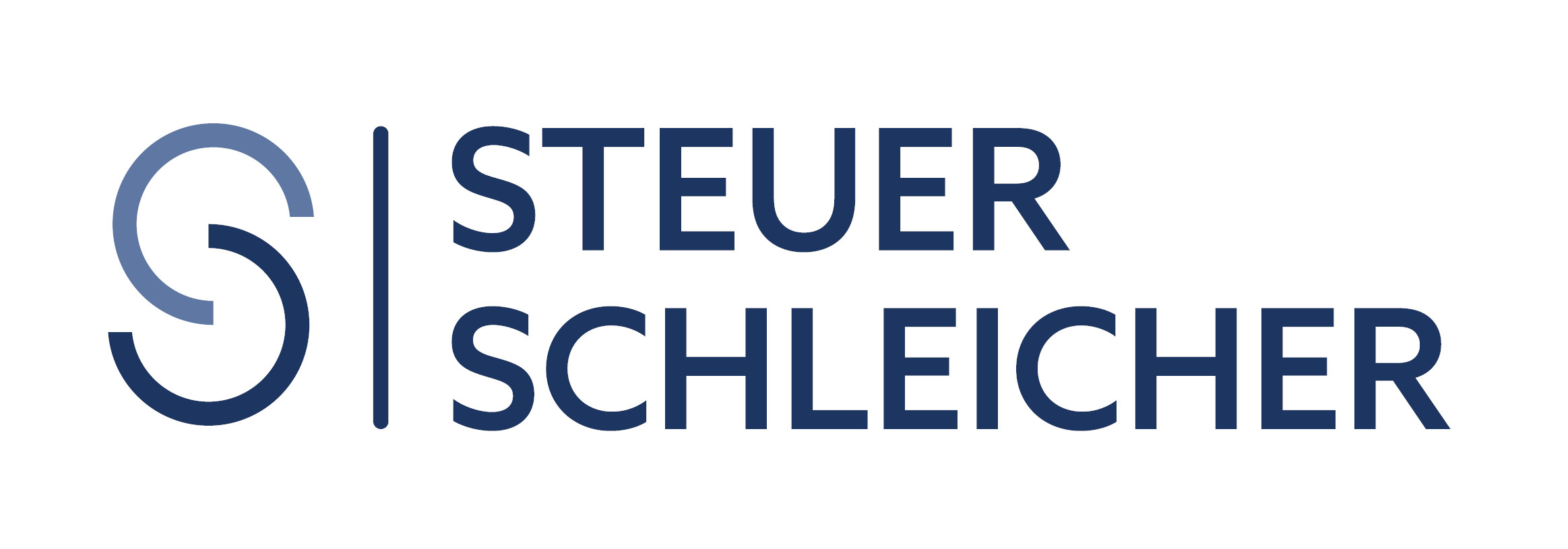 Steuer Schleicher